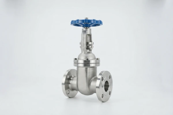 Valves-1.webp